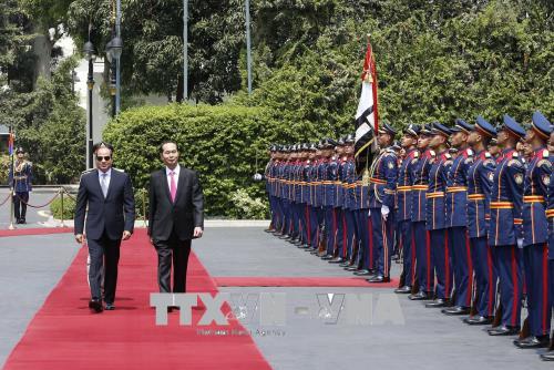 Chủ tịch nước Trần Đại Quang hội đàm, hội kiến với các nhà lãnh đạo Ai Cập